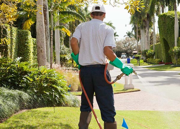 About Culpeper VA Pest Control